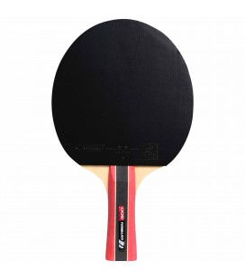 Raquette ping pong loisir et initiation éco conception